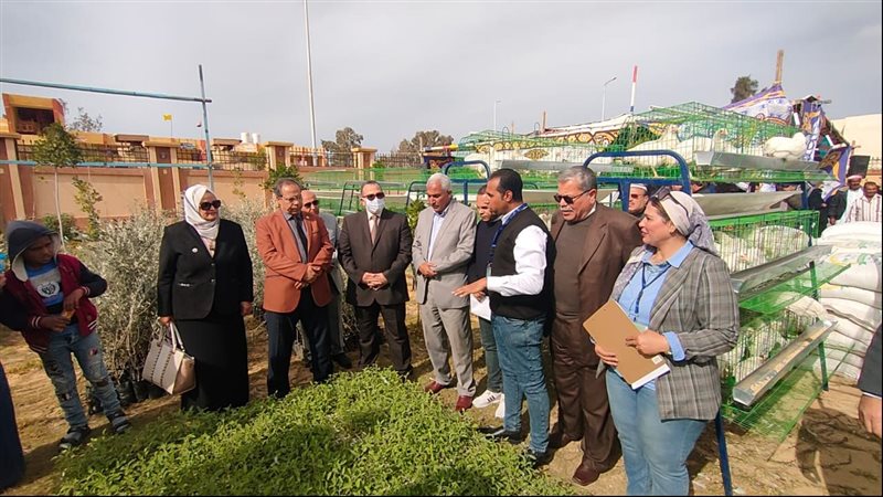 توزيع أشجار الزيتون