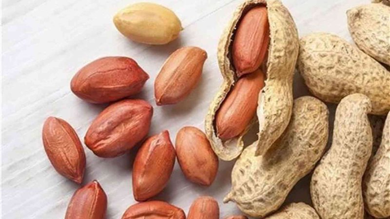 الفول السوداني 