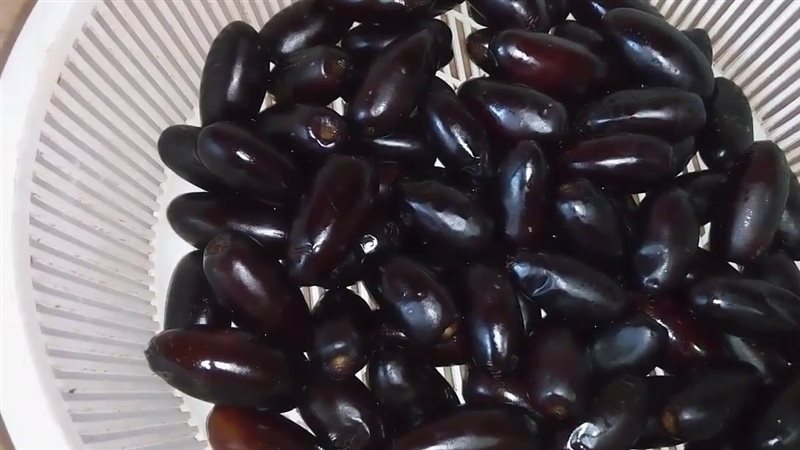 طريقة تخزين البلح