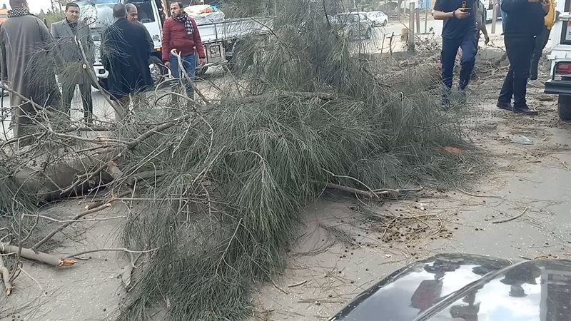 إصابة ٦ مواطنين إثر