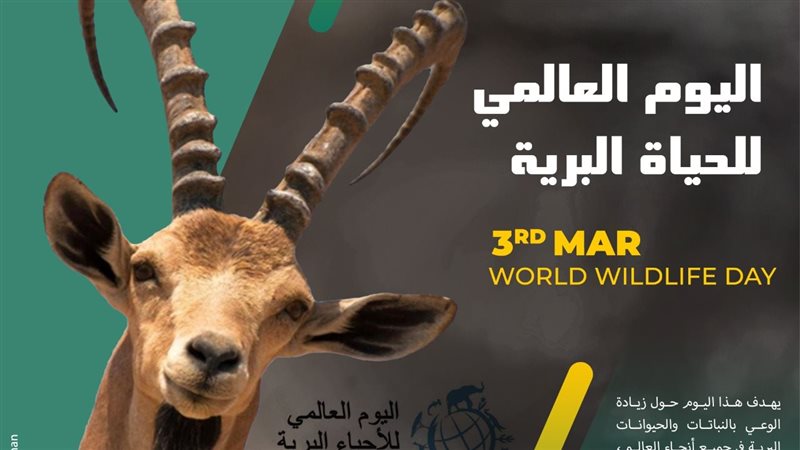 اليوم العالمي للحياة