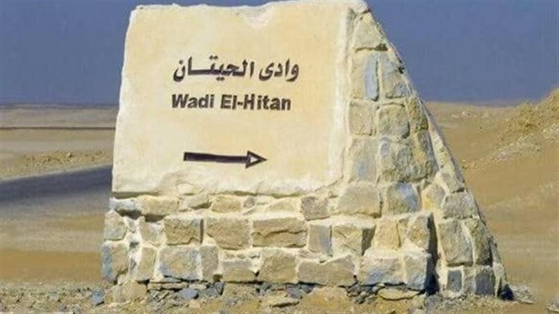 وادي الحيتان بالفيوم
