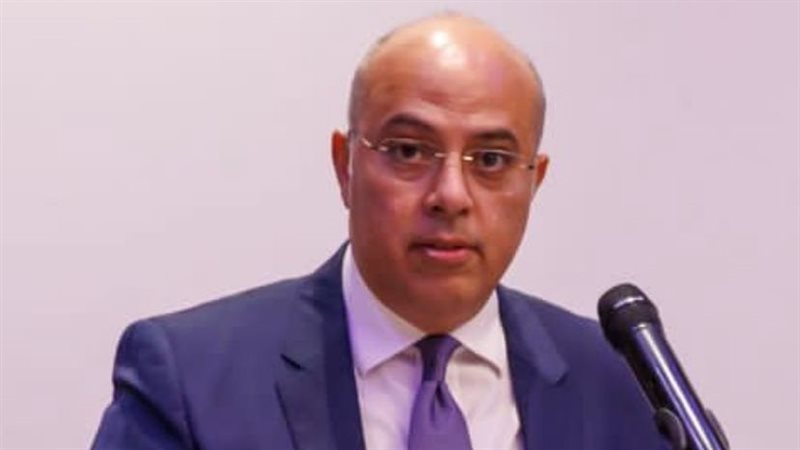 محمد الشناوي، سفير