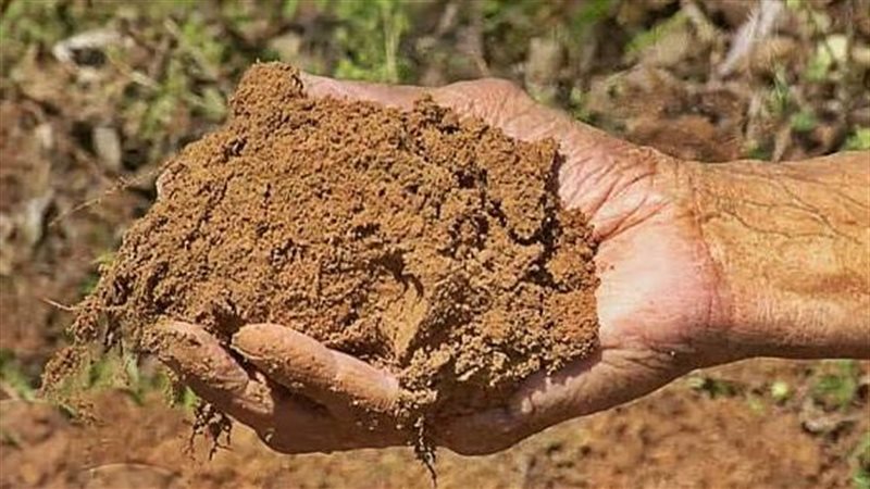 تفسير رؤية الطين