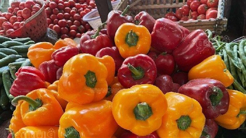 اسعار الخضراوات