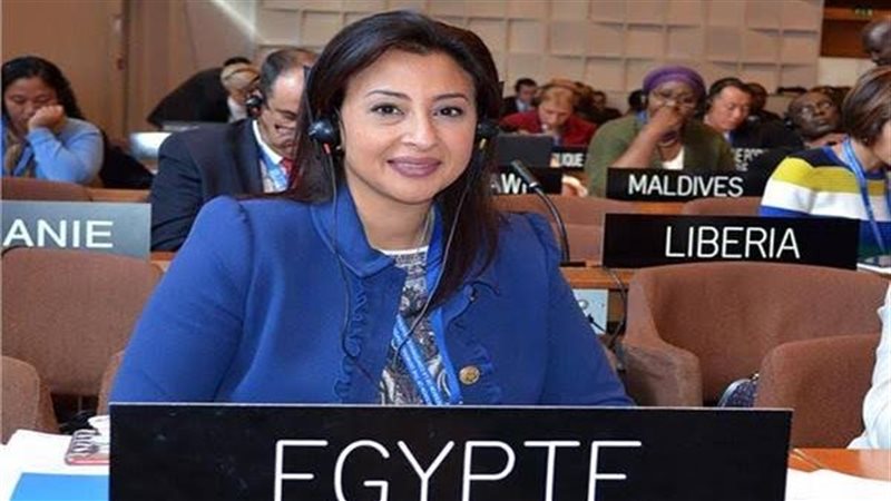د. غادة عبدالباري