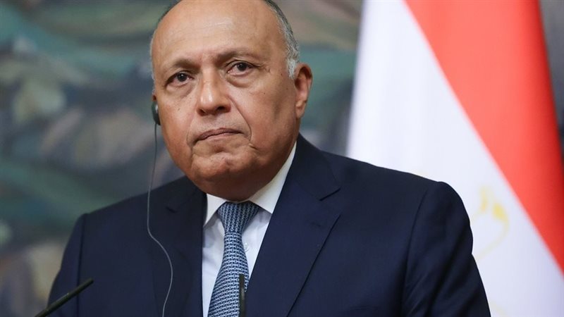 سامح شكري وزير الخارجية