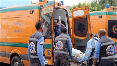 مصرع شخصين إثر انقلاب كونتينر على سيارتهما بالدائري الأوسطي في الجيزة