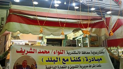 تموين الإسكندرية: مبادرة لبيع رغيف فينو 50 جراما بـ75 قرشا | صور 