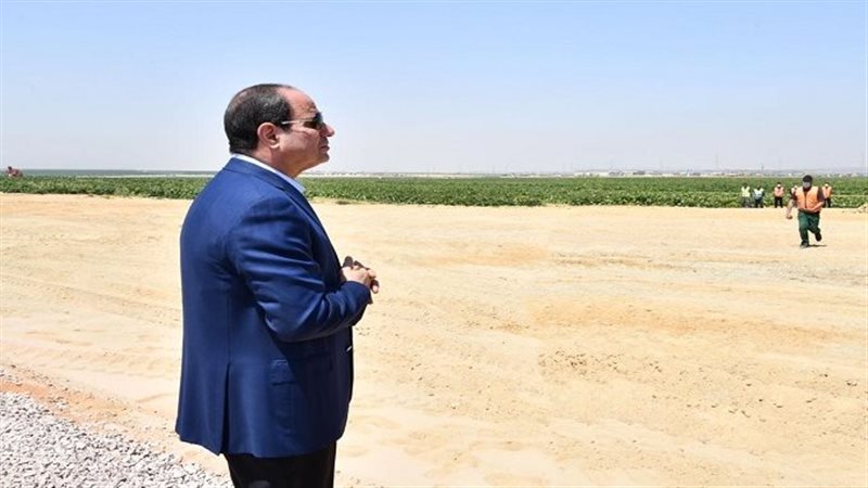 الرئيس عبد الفتاح