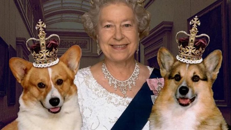 ملكة بريطانيا وكلابها