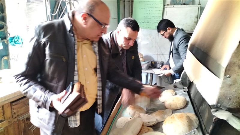 تموين الإسكندرية