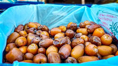 5 أنواع من التمر الأكثر طلبًا في مطروح خلال رمضان 