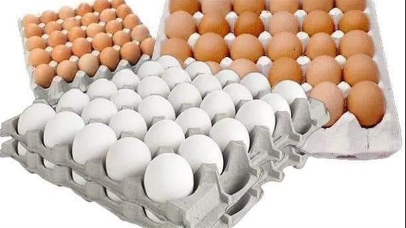 طبق البيض