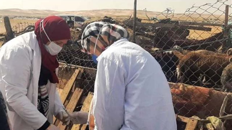 جانب من التحصينات