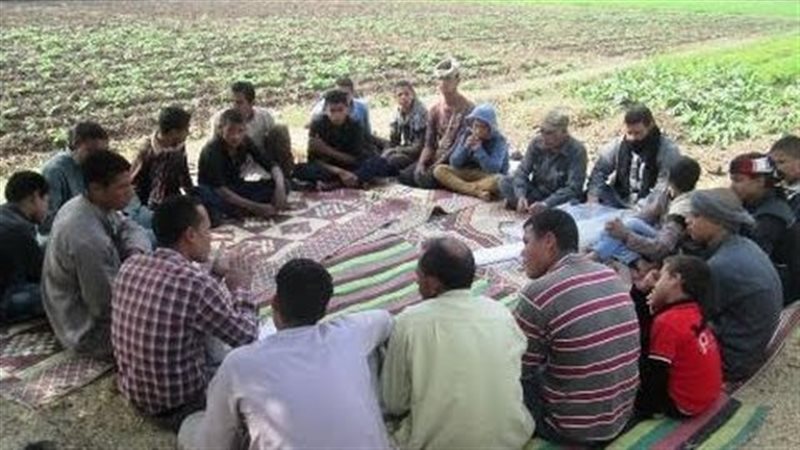 المدارس الحقلية