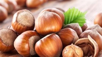 تفسير رؤية البندق في المنام وعلاقتها بجمع المال بعد عناء 