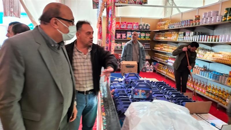 تموين الاسكندريه