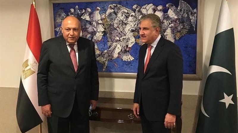 وزير الخارجية ونظيره