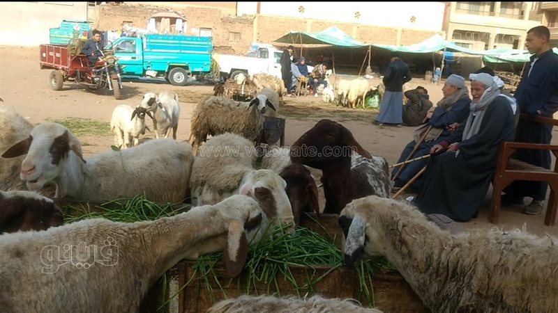 سوق الجعفرية اليوم