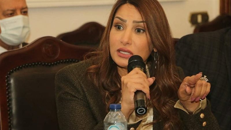 شيرين ربيع عضو الهيئة