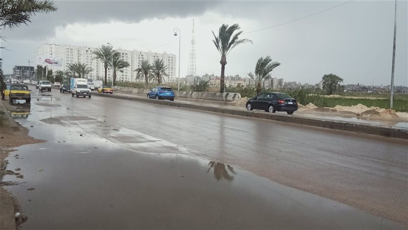 الاسكندريه