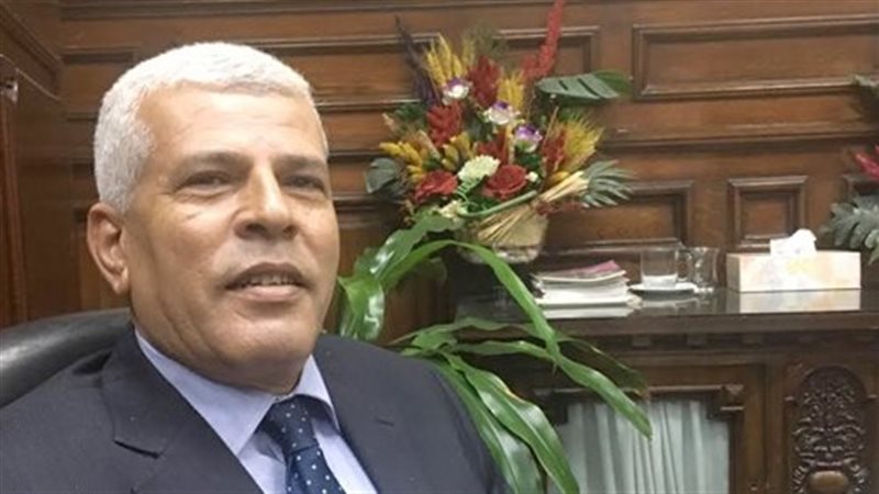 الدكتور سيد خليفة