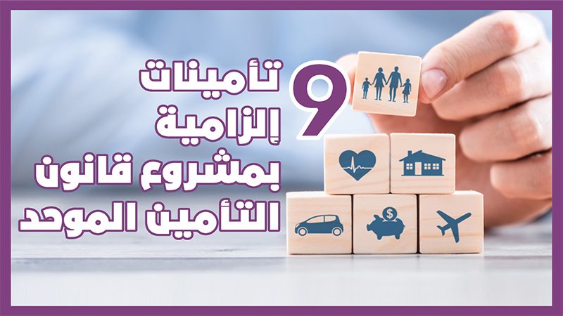 مجلس الشيوخ 