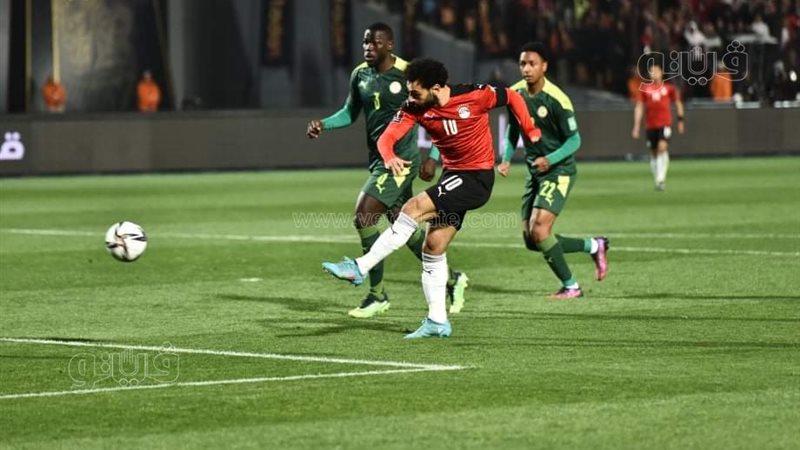 مصر والسنغال