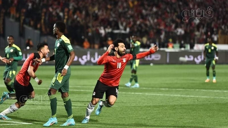 مصر والسنغال