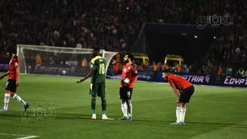 مصر والسنغال