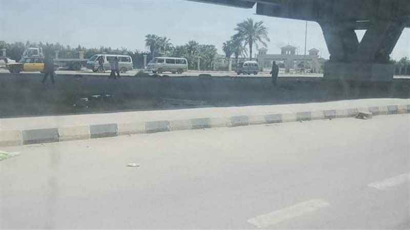 الإسكندرية
