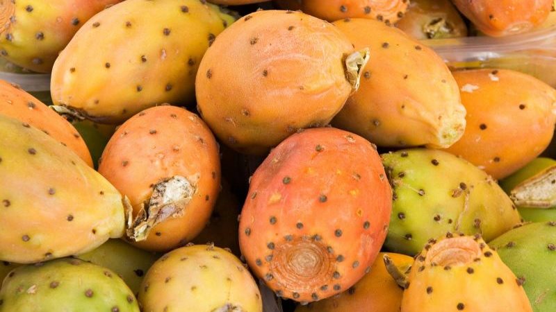  تفسير رؤية التين