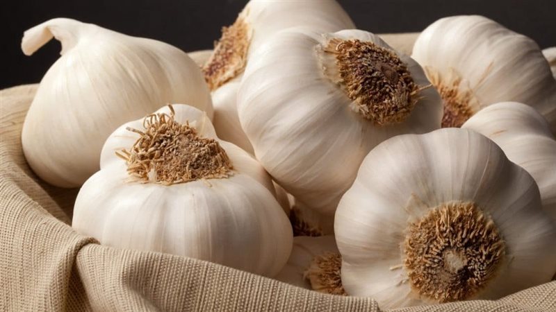   تفسير حلم جمع الثوم