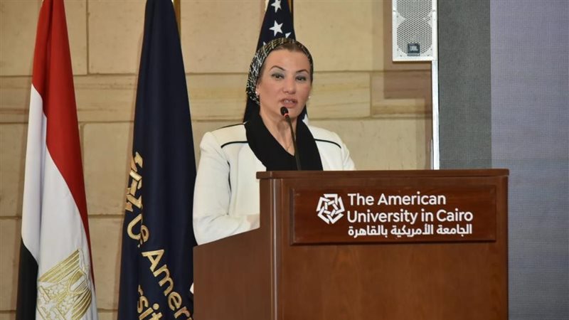 ياسمين فؤاد وزير