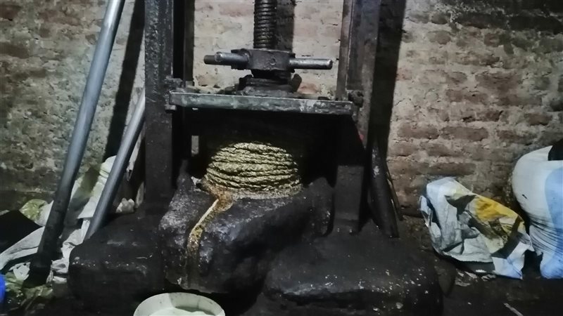 معصرة زيوت بقنا
