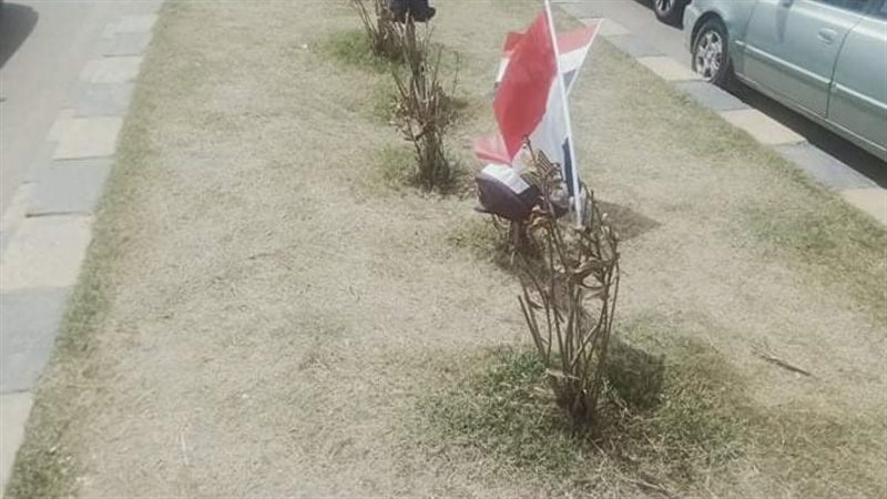 انتشار باعة الاعلام