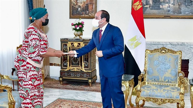 الرئيس عبد الفتاح