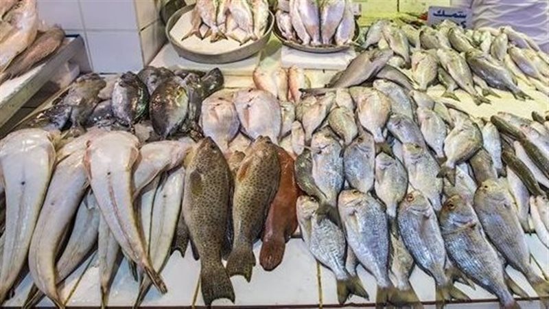 أسعار الأسماك اليوم