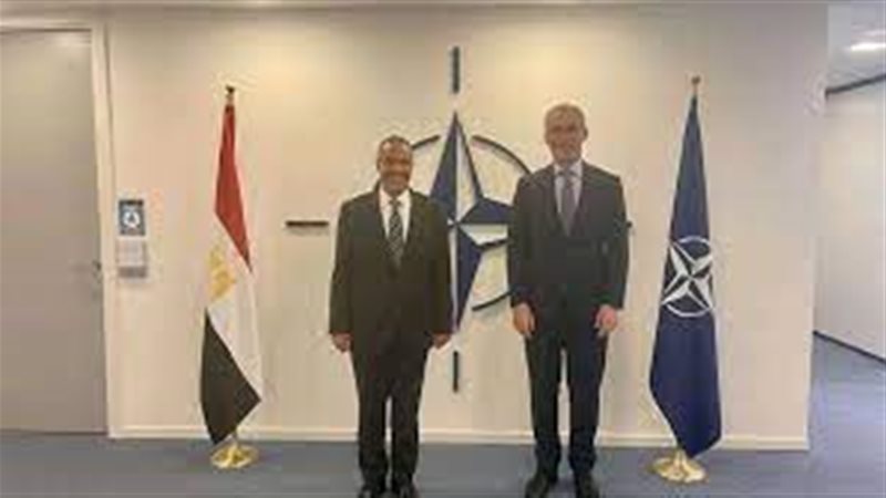 السفير بدر عبد العاطى