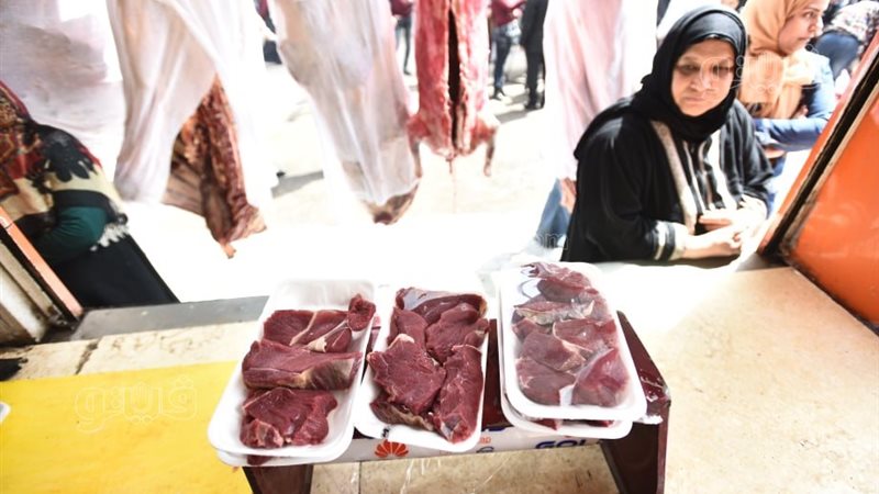 اسعار اللحوم 