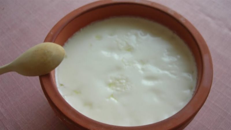 طريقة عمل الزبادي