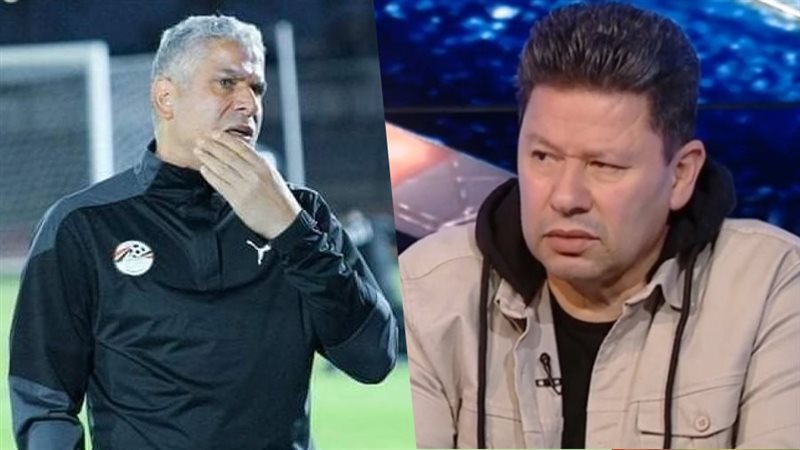 رضا عبد العال ووائل