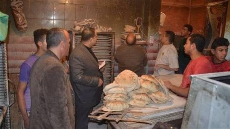 حملة تموينية - صورة