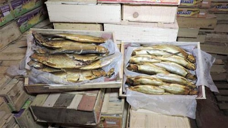 رنجة فاسدة