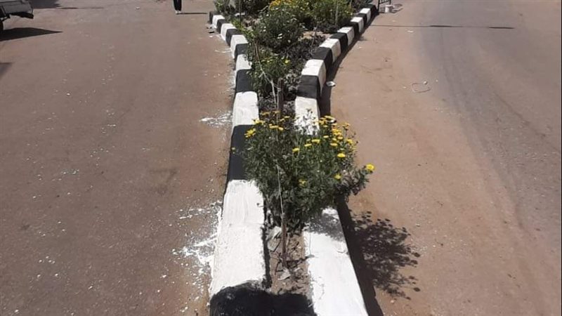 جانب من أعمال الطلاء
