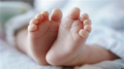 أخبار الحوادث.. أم تقتل رضيعتها بالوراق.. وإصابة 22 شخصا في الشرقية