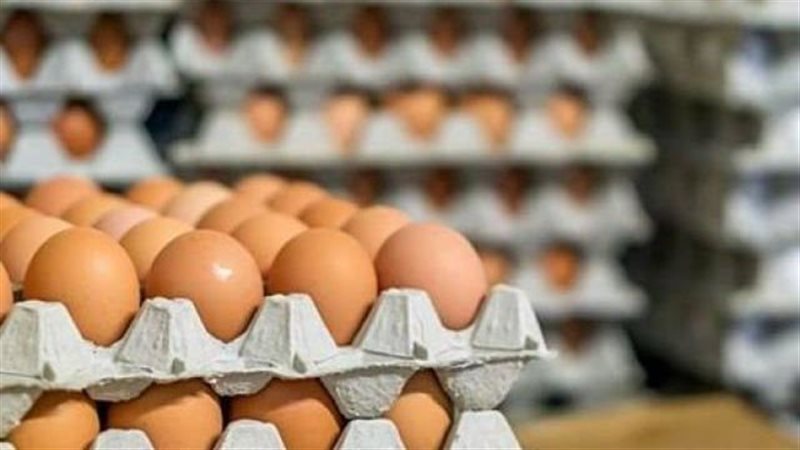 حملات مقاطعة البيض