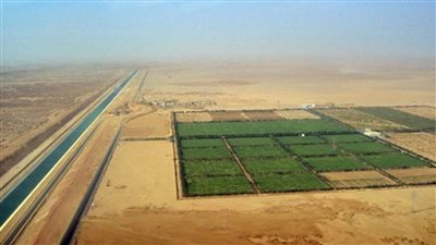 بالأسعار.. الإسكان تطرح أراضي حق انتفاع في توشكي الجديدة | صور 