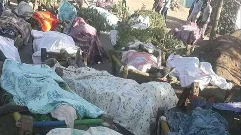 ضحايا التطهير العرقي